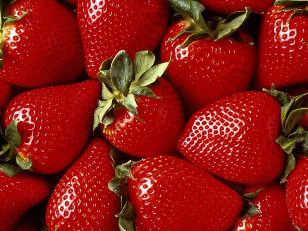 Strawberry Wallpaper - Fruit 1024x768 800x600