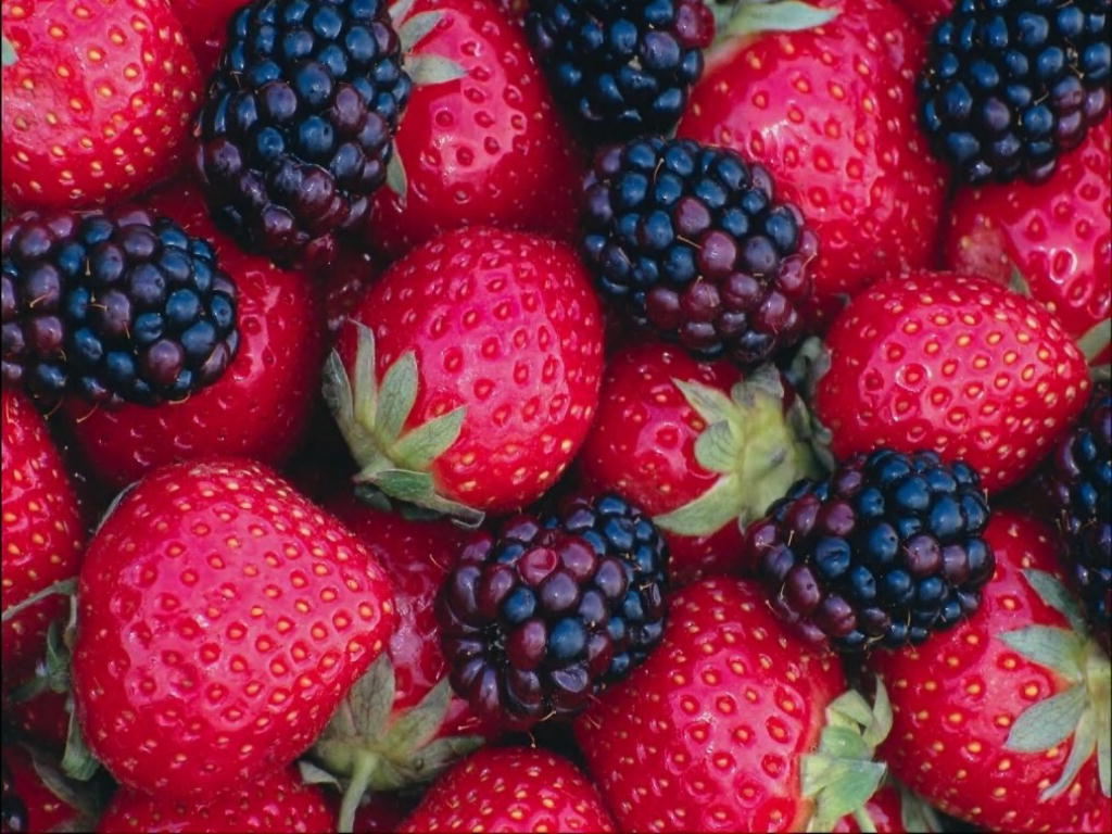 Strawberry Wallpaper - Fruit Wallpaper (6102232) - Fanpop