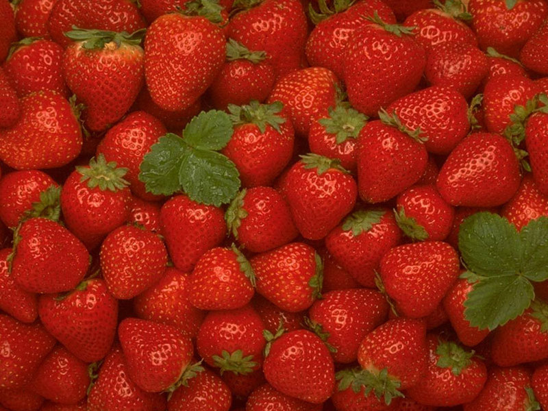 strawberry wallpaper. Strawberry Wallpaper