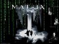 The  Matrix Wallpaper - the-matrix wallpaper