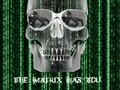 the-matrix - The  Matrix Wallpaper wallpaper