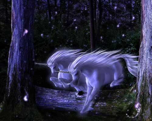  Unicorn wolpeyper