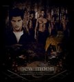 new moon poster - twilight-series fan art