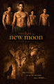 the wolf pack - twilight-series photo