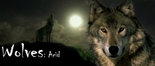 wolfs 4-ever