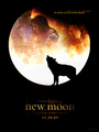  New Moon - twilight-series fan art