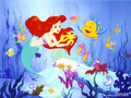 Ariel Wallpaper - disney-princess wallpaper