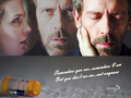 house-md - Graphic Contest 18 - House (Cuddles' entry) wallpaper