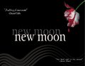 New Moon Wallpaper - twilight-series photo