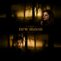 New Moon - twilight-series fan art