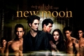 New Moon - twilight-series fan art