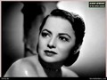 Olivia de Havilland - classic-movies photo