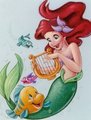 Walt Disney Images - Princess Ariel & Flounder - disney-princess photo