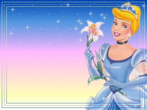  Princess Cinderella