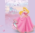 Sleeping Beauty  - disney-princess photo