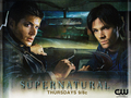 supernatural - Supernatural:) wallpaper