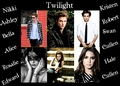 Twilight (L) - twilight-series photo