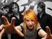 haley wallpapers - hayley-williams icon