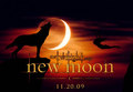 new moon - twilight-series fan art