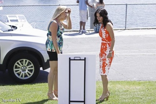  Cougar Town Pilot Promotional Pictures