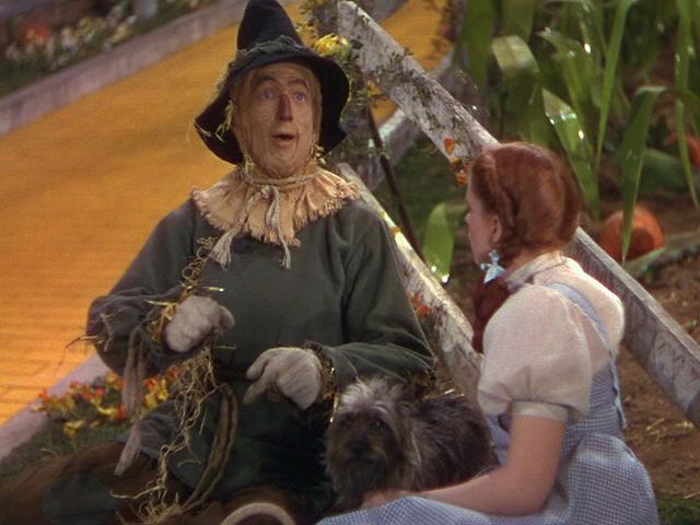 wizard of oz dorothy. Dorothy Meets The Scarecrow