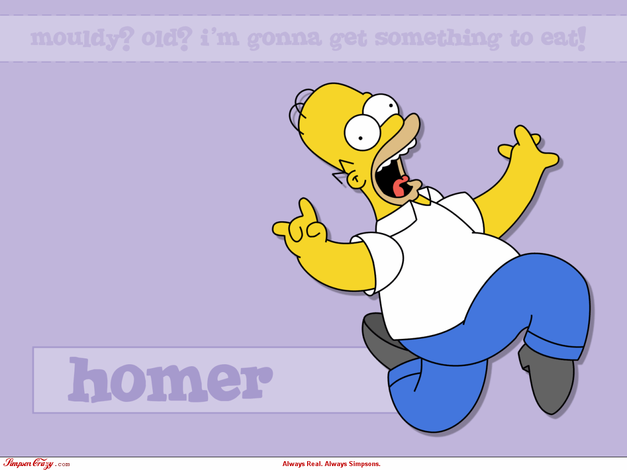 Homer - the-simpsons wallpaper