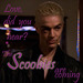 Love, the Scoobies are coming - Scoobies Awards - buffy-the-vampire-slayer icon