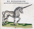 Monocerote - unicorns photo
