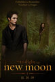 New Moon Poster - new-moon-movie fan art