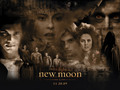 New Moon poster fanmade - twilight-series fan art