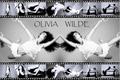 OLIVIA - olivia-wilde fan art