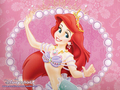 Princess Ariel  - disney-princess wallpaper