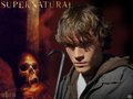 supernatural - Sammy Winchester wallpaper