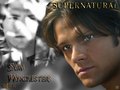 Sammy Winchester - supernatural wallpaper