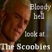 Spike - The Scoobies - buffy-the-vampire-slayer icon