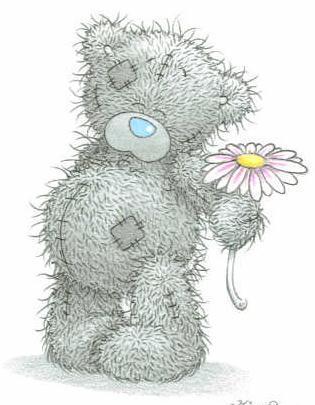 http://images2.fanpop.com/images/photos/6300000/Tatty-Teddy-s-holding-a-daisy-me-to-you-bears-6350334-315-405.jpg
