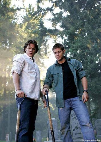 The Winchesters