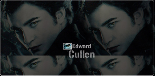  Twilight Cast*