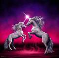 Unicornios - unicorns photo