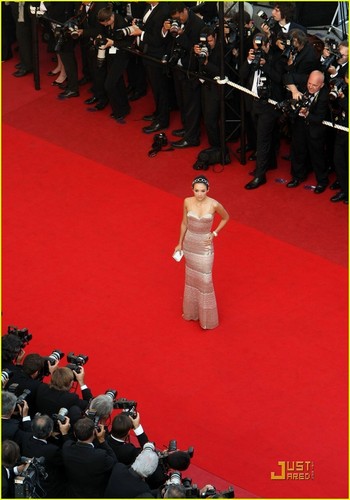  Zhang Ziyi at the 2009 Cannes Film Festival