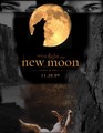 new moon1 - twilight-series fan art