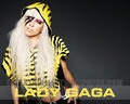 lady-gaga - -LadyGaga♥ wallpaper