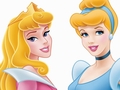Walt Disney Images - Princess Aurora & Princess Cinderella Wallpaper - disney-princess wallpaper