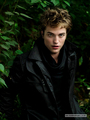 Entertainment Weekly Session #2  - twilight-series photo