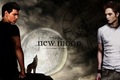 Jacob & Edward-New Moon Poster - twilight-series photo