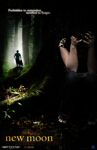  New Moon Poster (fanmade)