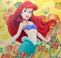 Princess Ariel  - disney-princess photo