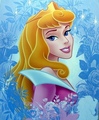Princess Aurora  - disney-princess photo