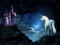 Searching For The Castle - unicorns photo