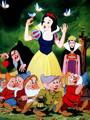 Snow White  - snow-white-and-the-seven-dwarfs photo